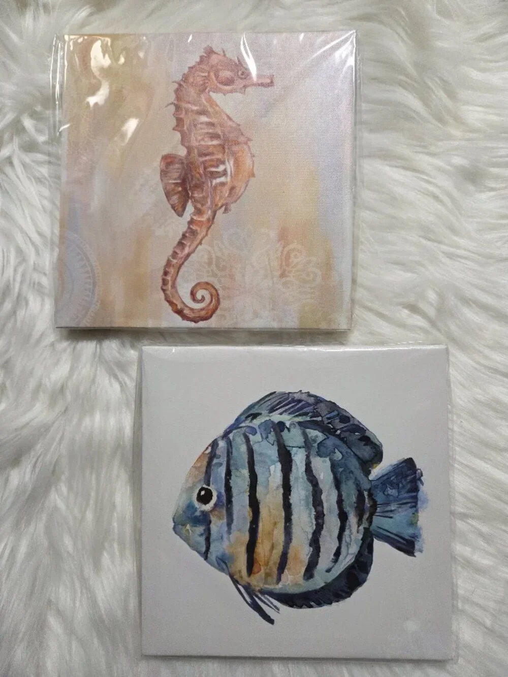 Seahorse & Fish Wall Art Set